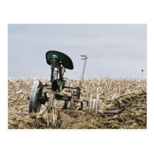 Amish Harvest Corn Field-Postcard