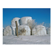 Amish Round Hay Bales-Postcard