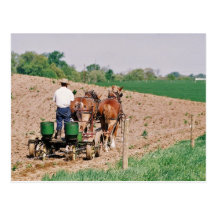Amish Seed Spreader Postcards
