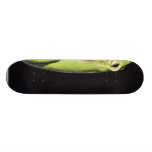 Amphibian Frog Green Frog On Wall Skate Board