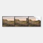 Amphitheatre of Tusculum, Rome, Italy vintage Phot Bumper Sticker