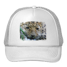 Amur Leopard  Baseball Hat