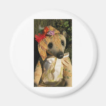 Amy Goodrich Collectables "Embroidered lady bear" Magnet