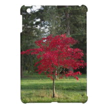 An Acer Tree iPad Mini Case