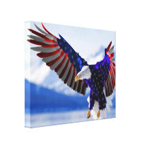An American Eagle Canvas Print