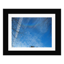 An Aurora in the Sky Photo #3