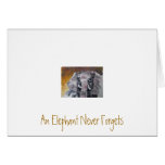An Elephant Never Forgets Greeting Cards