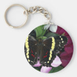 Anartia fatima, Mexico Keychain