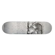 Anatomic Painting Of Skull Skateboard Decks