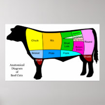 Anatomical Diagram of American Primal Beef Cuts Print