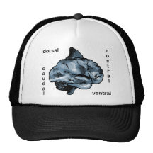 Anatomical Locations Hat