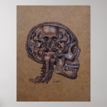 Anatomy of a Schizophrenic Poster
