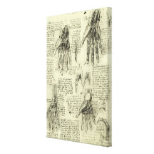 Anatomy of the Human Hand by Leonardo da Vinci Gallery Wrap Canvas