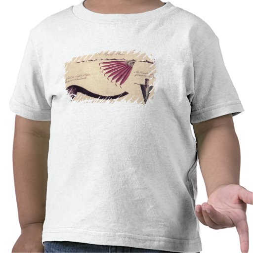 Ancient tomahawk, peace pipe and dagger, c.1590 t-shirts