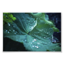 And They were Caught (The Sky's Tears) Art Photo