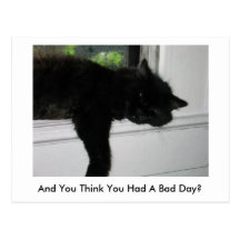 "And You Think You Had A Bad Day?" Postcard