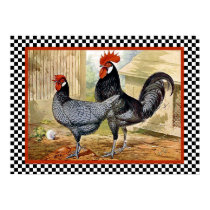 Andalusian Chickens in Farm posters