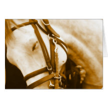 Andalusian Greeting Card
