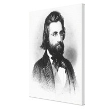 Andrew Jackson Stretched Canvas Print