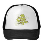 Andy Howell Hats