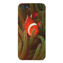 Anemone Fish iPhone 5 Case
