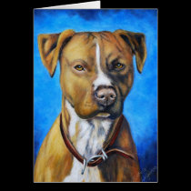 Angel American Staffordshire Terrier Dog Art cards