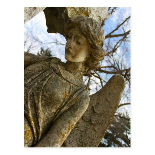 Angel Post Card