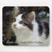 Angels With Whiskers (kitten) Mousepad