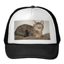 Angry cat mesh hat