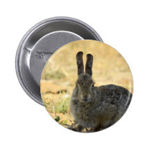 Angry Rabbit Pin