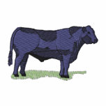 Angus
