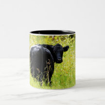 Angus Steer in Tall Yellow Grass Coffee Mug