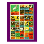 Animal abc alphabet Chart  teachers and learners Post Cards