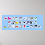 Animal Alphabets on blue Posters