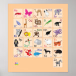 Animal Alphabets Posters