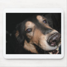 ANIMAL ASSORTMENT MOUSEPAD