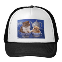 animal friendship hat