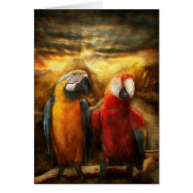 Animal - Parrot - Parrot-dise Card