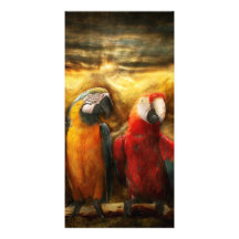 Animal - Parrot - Parrot-dise Personalized Photo Card