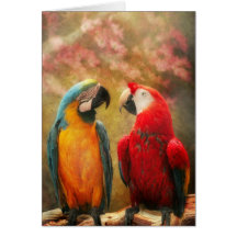 Animal - Parrot - We'll always have parrots Card