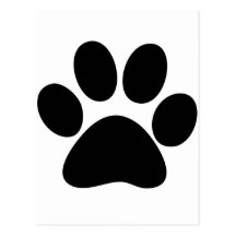 Animal Paw Postcards