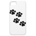 Animal Paw Prints