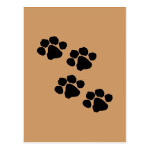 Animal Paw Prints Post Card