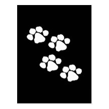 Animal Paw Prints Postcards