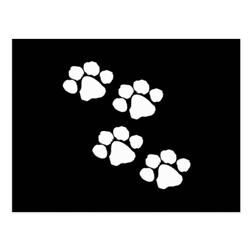 Animal Paw Prints Postcards