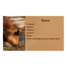Animal - Pigs - Family Bonds Business Card