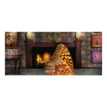 Animal - The Butterfly Full Color Rack Card