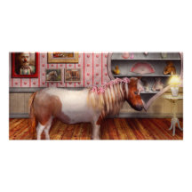 Animal - The Pony Photo Cards