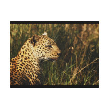 Animals Africa leopard panthera pardus Gallery Wrapped Canvas