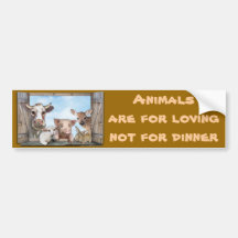 Animals are for loving bumper stickers